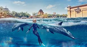 Atlantis Dolphin Bay
